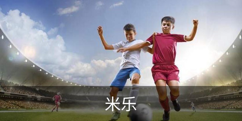 关于米乐